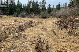 133 West Enderby Road - Photo 8