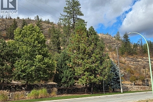 2741 Auburn Road - Photo 8