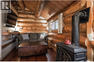 Cabin 10 Hatheume Lake Lodge - Photo 23