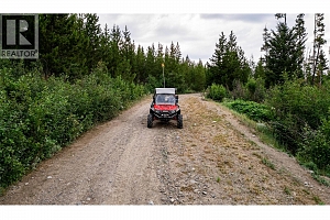 Cabin 10 Hatheume Lake Lodge - Photo 34