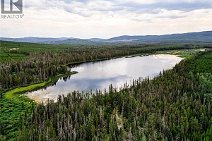 Cabin 10 Hatheume Lake Lodge - Photo 35
