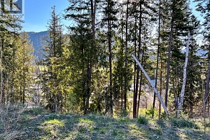 2541 Cedar Ridge Court - Photo 2