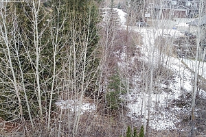 2557 Cedar Ridge Court - Photo 2