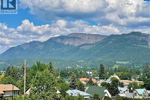 806 Cliff Avenue Unit# 102 - Photo 57