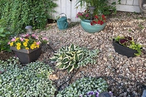 5101 27th Avenue Unit# 15 - Photo 67