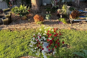 5101 27th Avenue Unit# 15 - Photo 72