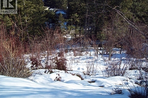 358 Mountain Drive - Photo 10