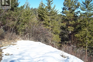 358 Mountain Drive - Photo 11