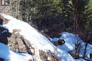 358 Mountain Drive - Photo 13