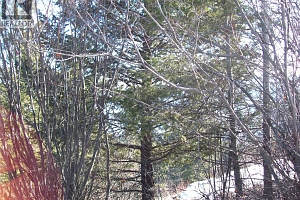 358 Mountain Drive - Photo 15