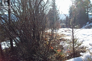 358 Mountain Drive - Photo 17