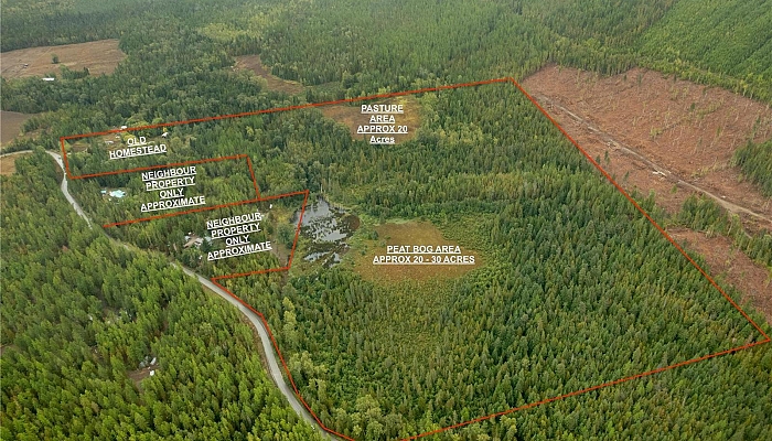 3107 Trinity Valley Road - Photo 1