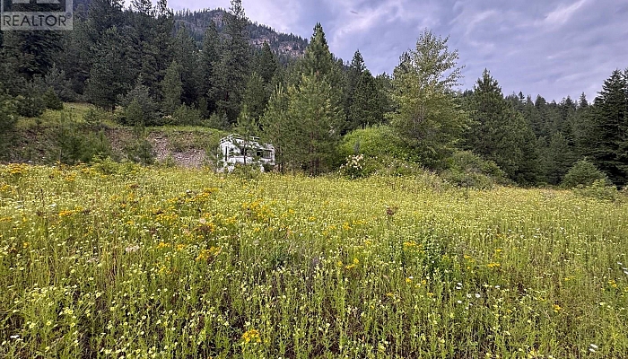 40 Acres Shuswap River Drive - Photo 1