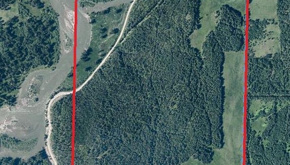 2301 Lumby Mabel Lake Road Lot# 1 - Photo 1