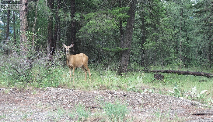 680 Fairbridge Road - Photo 1