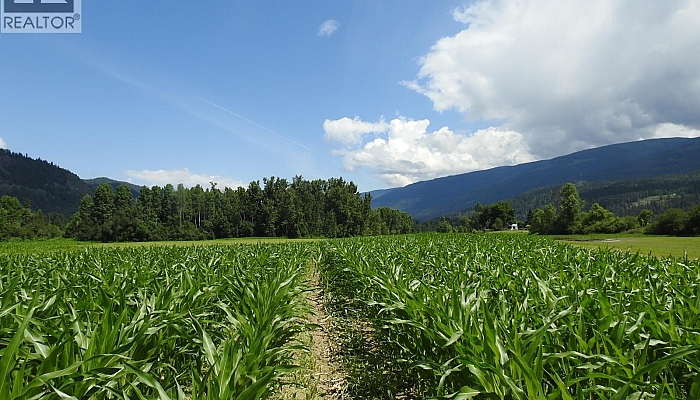 7160 97-A Highway - Photo 1