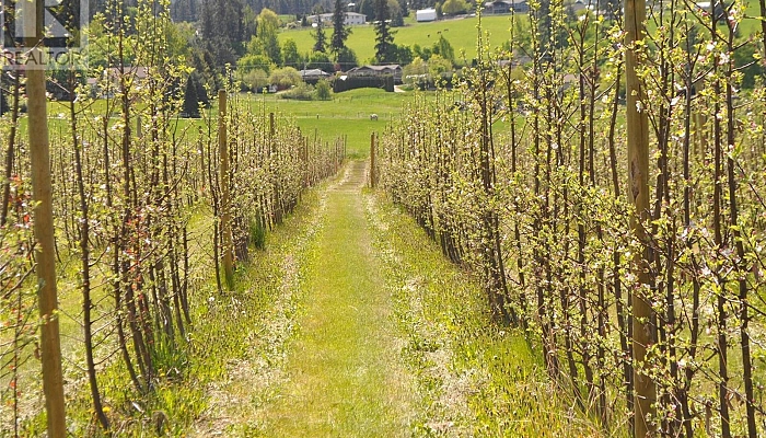 Lot 6 Springfield Road - Photo 1