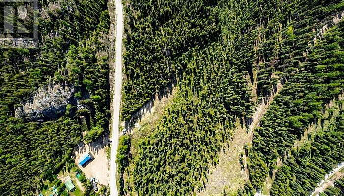 9280 Paradise Road - Photo 1