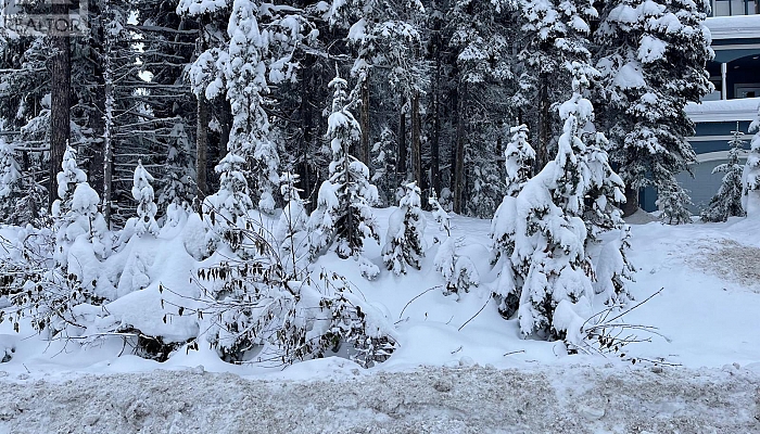 555 Monashee Road - Photo 1