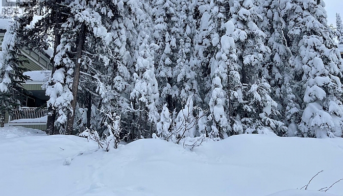 485 Monashee Road - Photo 1