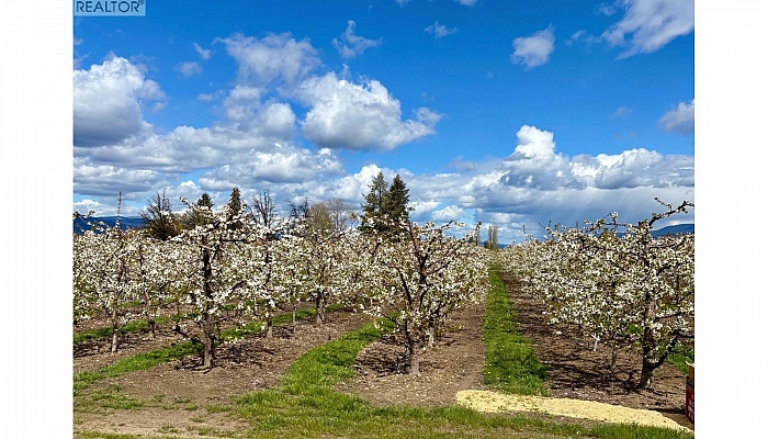 3844 Senger Road - Photo 1