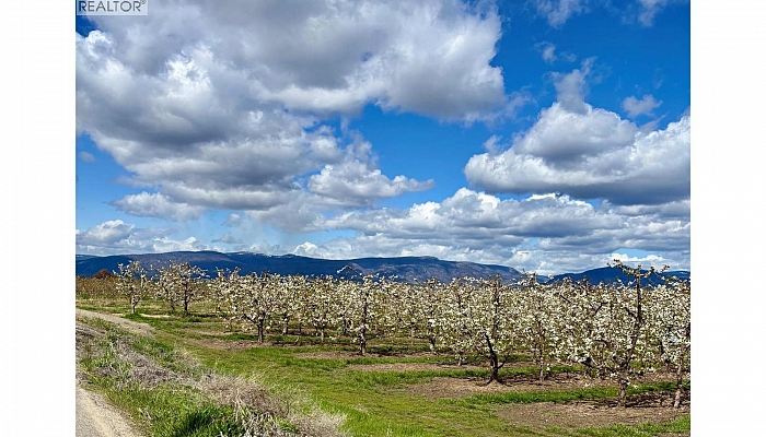 3844 Senger Road - Photo 1