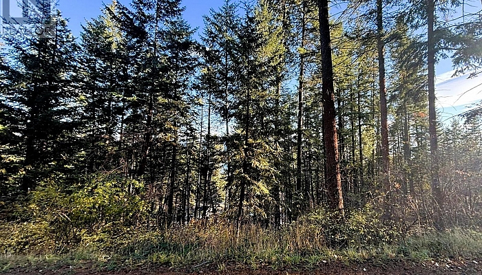 Lot 146 Keithley Road Lot# 146 - Photo 1