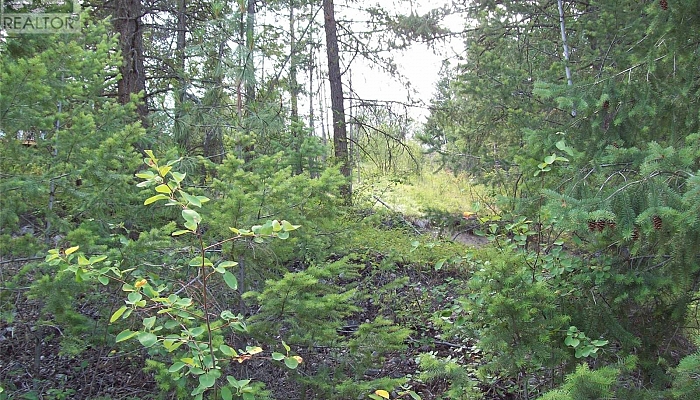 358 Mountain Drive - Photo 1