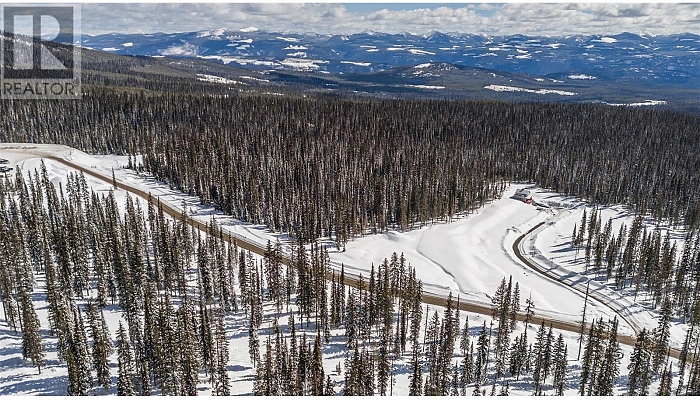 4 Black Forest Road Lot# 4 DL 4257 - Photo 1