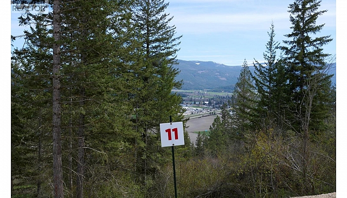 213 Crooked Pine Road - Photo 1