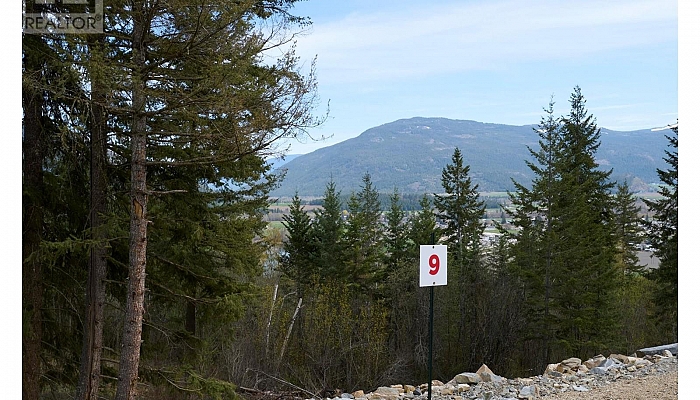 201 Crooked Pine Road - Photo 1