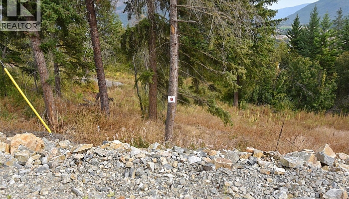 201 Crooked Pine Road - Photo 1