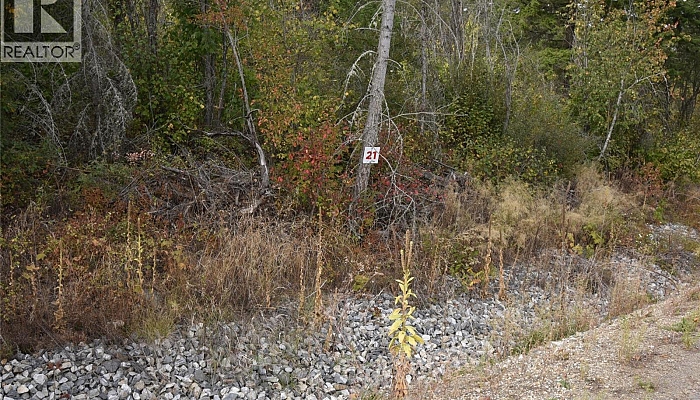 222 Crooked Pine Road - Photo 1