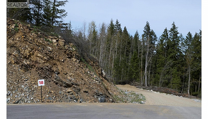 252 Crooked Pine Road - Photo 1