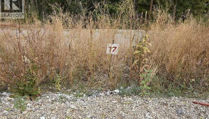 249 Crooked Pine Road - Photo 1