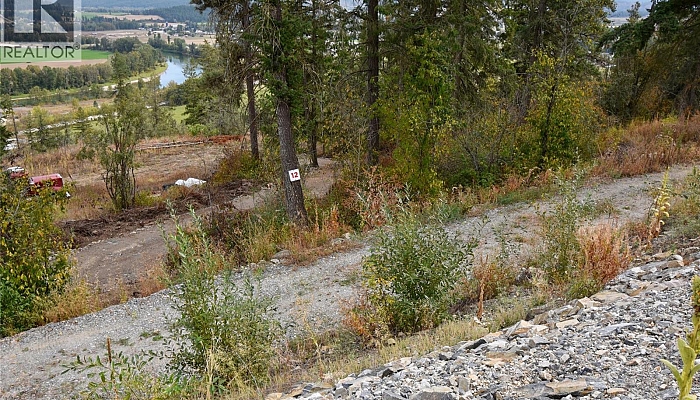 219 Crooked Pine Road - Photo 1