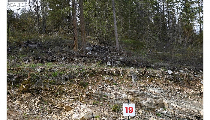 246 Crooked Pine Road - Photo 1