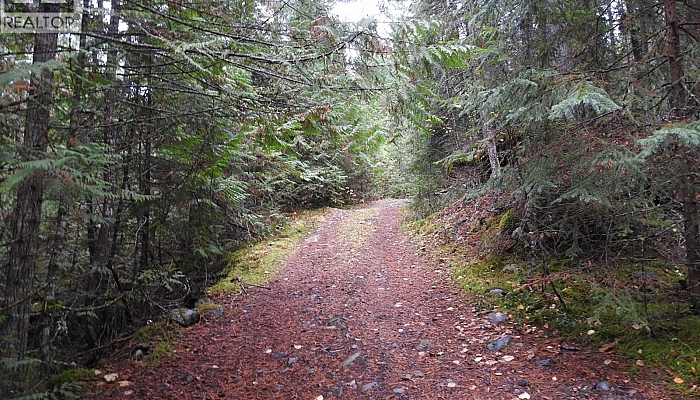 144 Acres South Fork Road - Photo 1