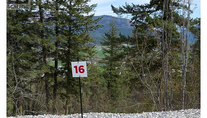 243 Crooked Pine Road - Photo 1