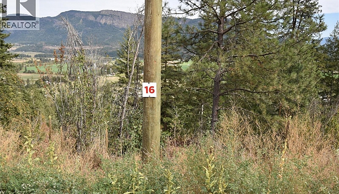 243 Crooked Pine Road - Photo 1