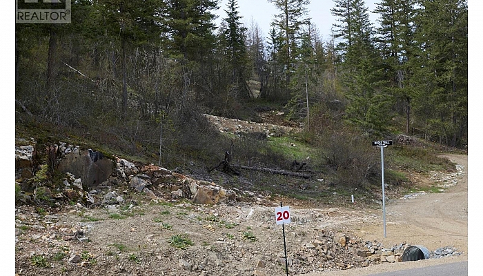 236 Crooked Pine Road - Photo 1