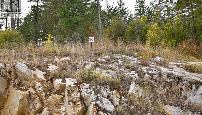 236 Crooked Pine Road - Photo 1