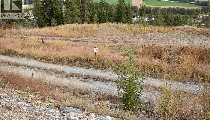 225 Crooked Pine Road - Photo 1