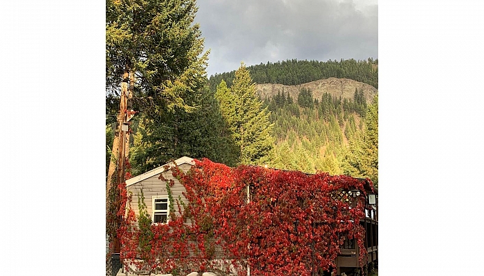 70 Smoker Road - Photo 1