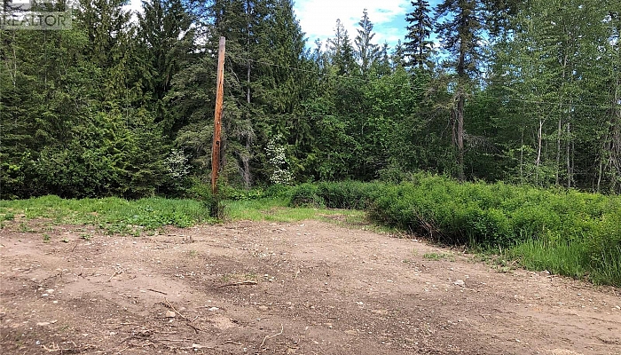 50 Valecairn Road - Photo 1