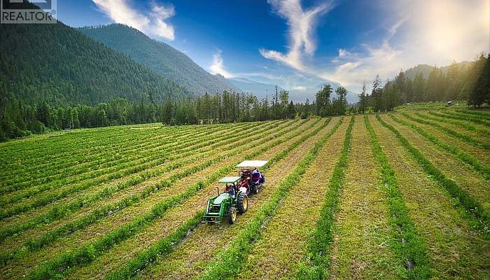 1238 Creighton Valley Road - Photo 1