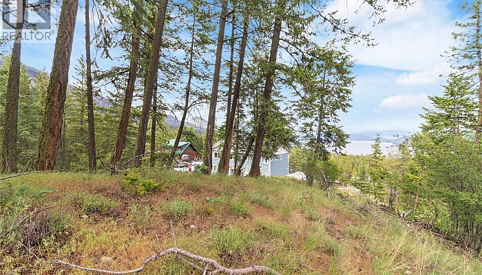 7801 Alpine Road - Photo 1