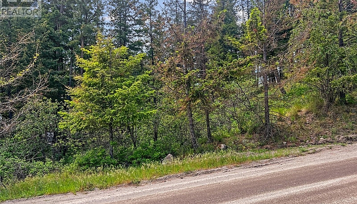 42 Muir Road - Photo 1