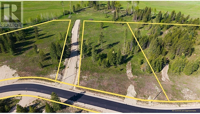 Lot 4 Mary G Road - Photo 1