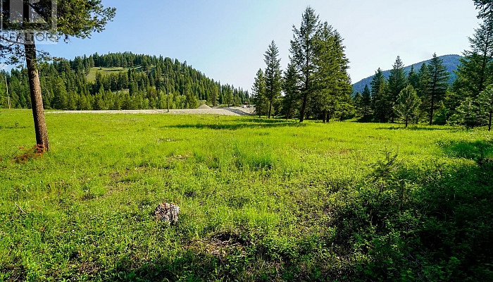 Lot 2 Mary G Road - Photo 1